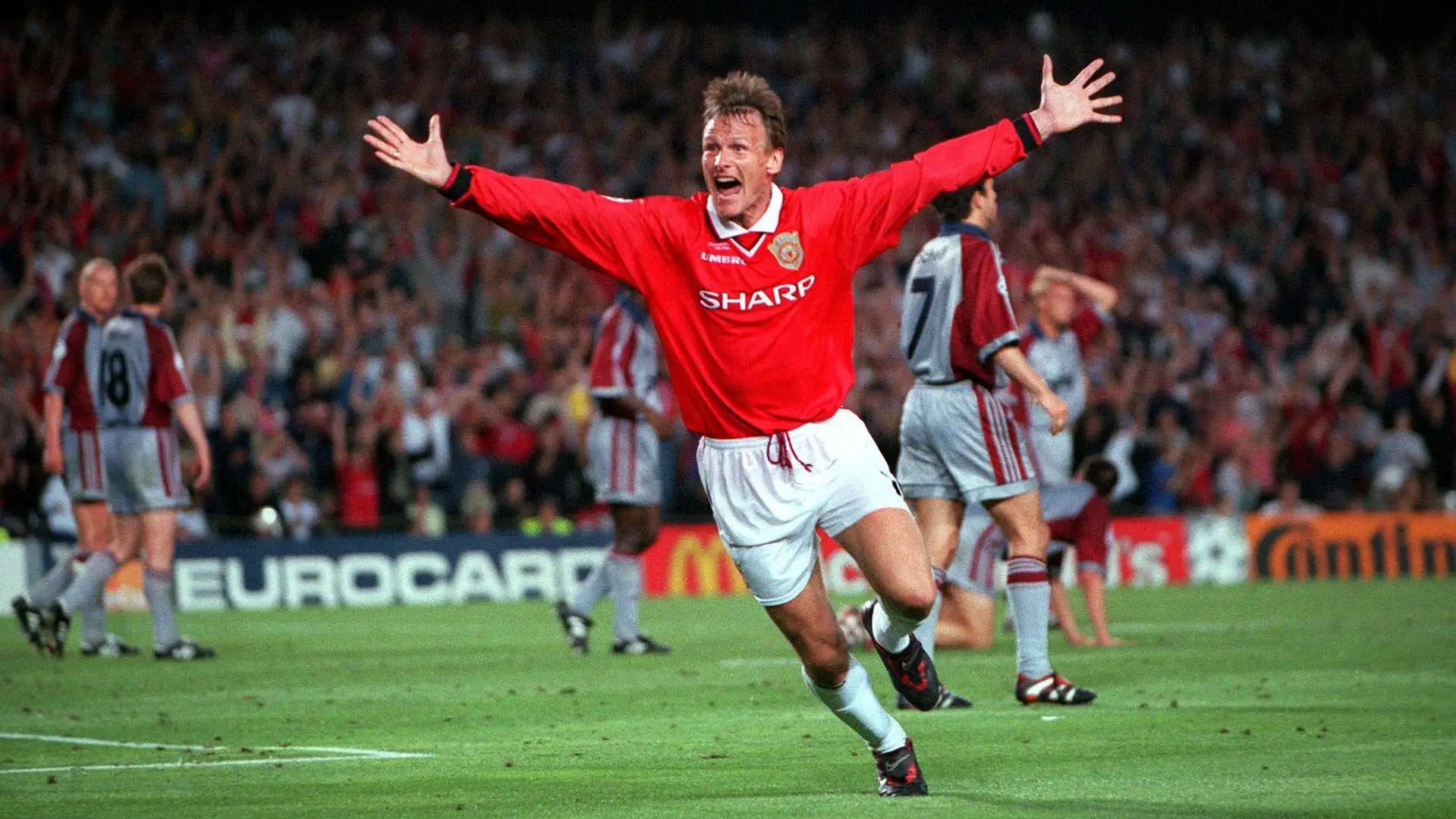 تدی شرینگهام